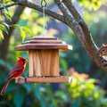 Squirrel proof bird feeder with cardinal feeding while squirrel watches from tree